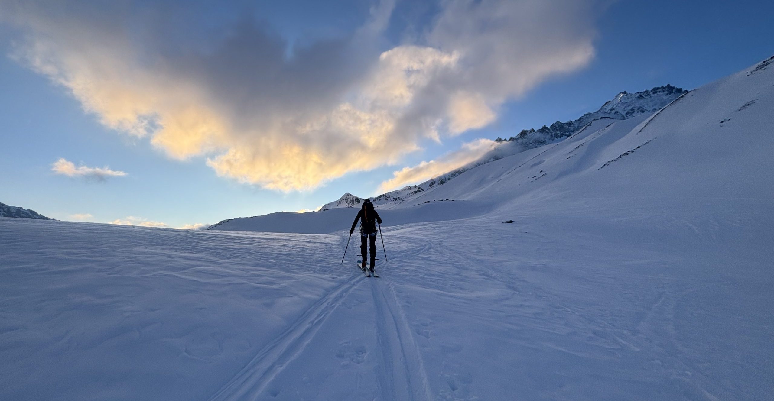 Approche Agneaux ©Corentin Consigny